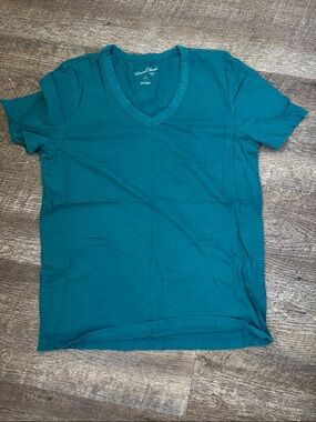 Men's Teal V-Neck T-Shirt